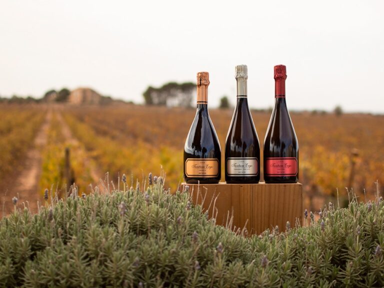 bodegas-hispano-suizas-cavas