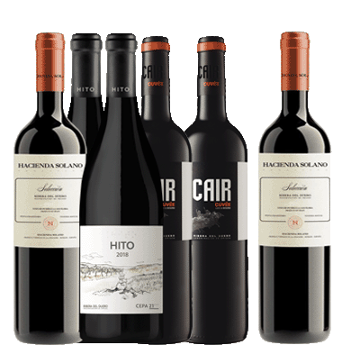 Selección Ribera del Duero ‘Nuevos’ Clásicos