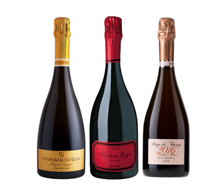 Selección Cavas de Requena Premium