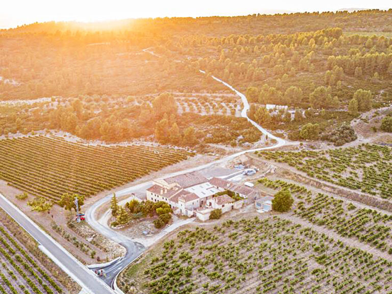 rafa-cambra-5bseleccion-alforins