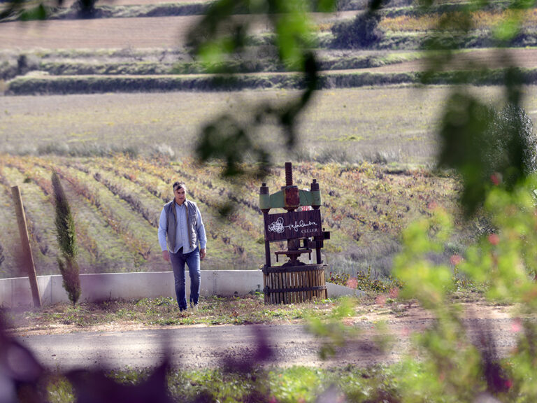 rafa-cambra-viñedo-5bseleccion