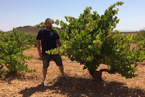 Aleph Winery