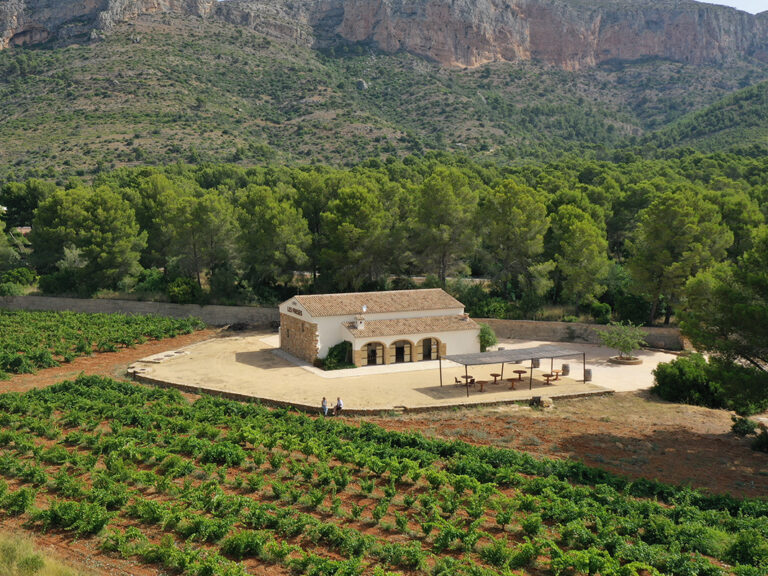 bodega-les-freses-5bseleccion