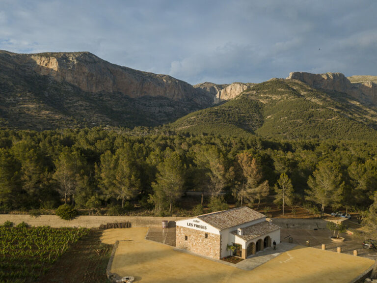 bodega-les-freses-montgo