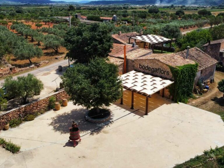 bodega-flors-castellon-5bseleccion