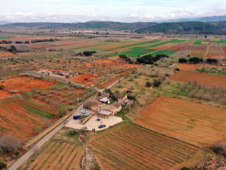 bodega-flors-paisaje-5bseleccion