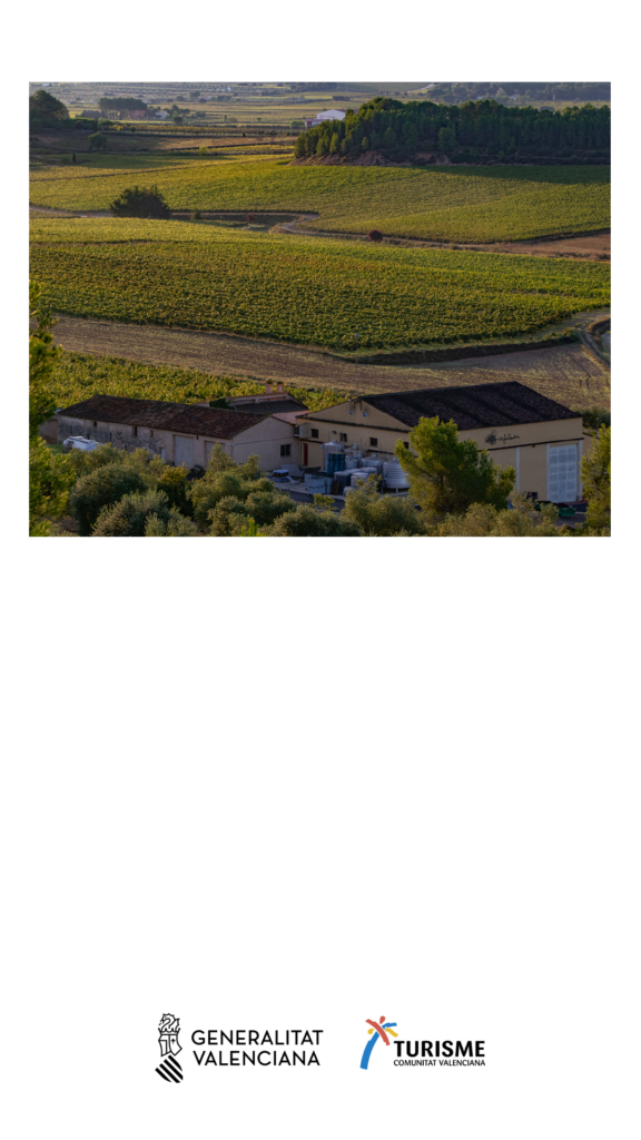 Visita y cata en Bodega Rafael Cambra